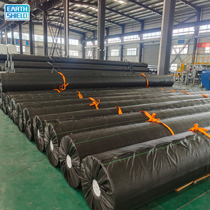 Nhà máy trực tiếp HDPE <span class=keywords><strong>geomembrane</strong></span> tấm 1.0mm 1.5mm <span class=keywords><strong>2.0mm</strong></span> có sẵn với ISO9001 CE giấy chứng nhận ngay lập tức lô hàng trên toàn thế giới - Product Image 2