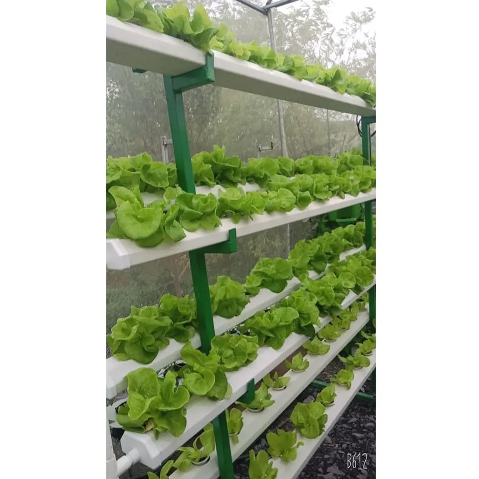 A Types Garden Irrigation Vertical Green White Automatic Hydroponic Vegetable Growing System With Substrate