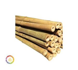 Poteaux de bambou Nature Poteaux de bambou brut Poteau droit Bambou du Vietnam - Product Image 2