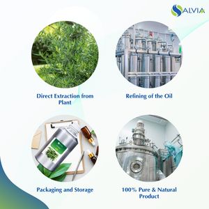 Aceite Esencial de Salvia Tarragona 100% Puro y Natural al por Mayor, envasado personalizado OEM/ODM, uso industrial y para el cuidado de la piel, precio bajo - Product Image 4
