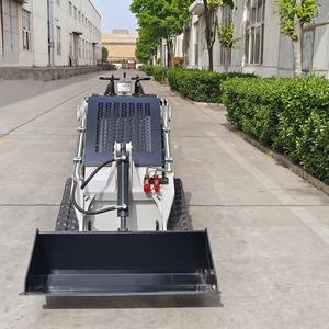 מיני דיזל החלקה על דיזל עם 4-in-1 כפולה כונן סריקה סריקה סריקה הזזה 5 טון עומס מדרוג - Product Image 4