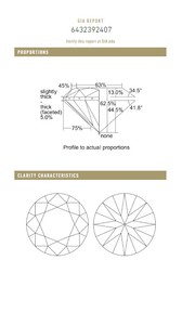 D'vins อัญมณี B2B ผ่านการรับรอง Gia 2.00 CT หลวมสีธรรมชาติกลม I สี FL ไหลบริสุทธิ์เพชรขัดเจียระไนแบบหรูหรา - Product Image 4