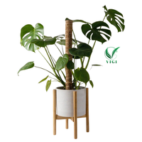 Tongkat sabut kelapa dari Vietnam untuk pengaturan tanaman hutan dalam ruangan dengan MOQ rendah ekspor