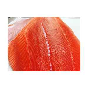 Filete de Salmón Rey Congelado de Grado A de Alta Calidad, Bajo en Carbohidratos y Libre de Grasas Trans, Disponible para Suministro a Granel Continuo - Product Image 1