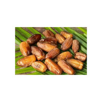 Fruits secs de jujube de palme à dattes de qualité supérieure, de grade A, conservés dans une saumure, enrobés de chocolat noir, sans OGM, goût sucré, en vrac, AD