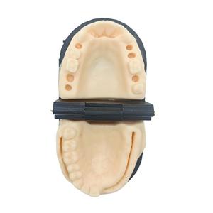 Sutura Dental de mandíbula inferior de silicona para ortodoncia, modelo 747400041C43, instrumento de fuente de alimentación Manual, clase I para educación Dental - Product Image 2