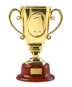 Coupe de trophée de cricket en métal de luxe pour le championnat, récompense, événement sportif, objet commémoratif - Product Image 4