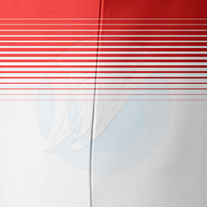 Vente flash, maillot de baseball de qualité supérieure pour adultes, respirant, évacuant l'humidité, séchage rapide, 100% polyester, vêtements de baseball et de softball - Product Image 6