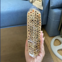 Canes de bambou de haute qualité pour bricolage Bee Hotels Eco-Friendly Wildlife Habitat, Best Seller