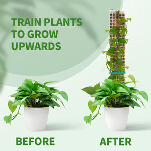 Poste de musgo modular en forma de D, recubierto de plástico, de 48 pulgadas, extensible con sistema de encaje a presión, para invernadero, soporte sencillo para plantas - Product Image 3