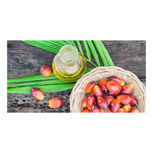 Huile de palme en vrac accessible aux distributeurs, aux détaillants et aux unités de transformation alimentaire - Product Image 5