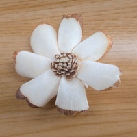 Bunga Artifisial Kayu Sola Bentuk Bintang Putih 3cm Ramah Lingkungan Dekorasi Dalam Ruangan untuk Hari Ibu Paskah Hari Valentine