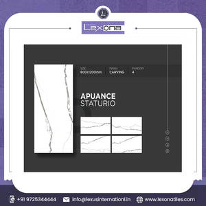 Top Grade Porcelain Floor Tiles With Carving Finish 600x1200mm for Decorative Home Villa Hotel Office - Product Image 2