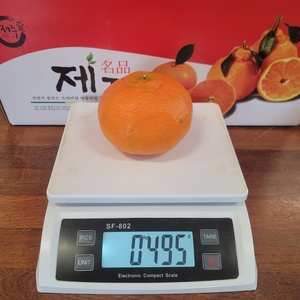 [Bbungja Jeju Gyul Farm] Cítricos Rojos Premium de Corea de la Isla de Jeju, Dulces, Jugosos, Fáciles de Pelar, Alto Brix, Certificación GAP, Fruta de Regalo - Product Image 5