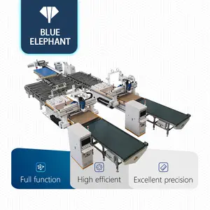 Aanpasbare Automatische Modulaire Paneel Meubels Productielijn Keukenkasten Maken Machine Van Blauwe Olifant