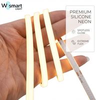 Tira de Luz LED de Silicona de Neón Flexible de 24 V CC, 8 x 16 mm, IP68, SMD2835, 120 LED/m, para Señalización Exterior de Hoteles