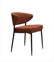 Chaise de salle à manger nordique, mobilier d'intérieur de luxe, fauteuils de restaurant, chaises de loisirs en acier inoxydable noir pour salle à manger