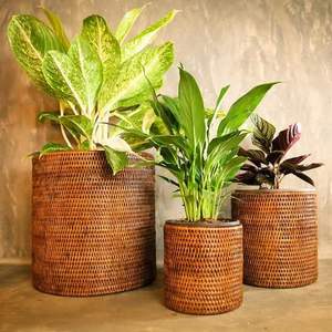 Handcrafted Design Rattan Planter <b>Basket</b> Indoor and Balcony Decoration Flower <b>Pots</b> Mini <b>Plant</b> Containers - Product Image 1