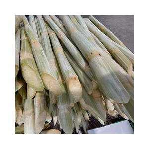 Vente chaude canne à sucre congelée canne à sucre douce meilleure qualité prix bon marché du Viet Nam disponible en vrac - Product Image 4