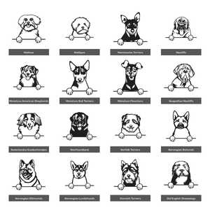 Cuadro Decorativo de una Raza de Perro en MDF - Product Image 4