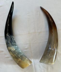 Corne à boire sculptée à la main naturelle personnalisée respectueux de l'environnement Style Viking Buffalo Animal Tankard pour la bière par f s i - Product Image 3