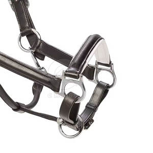 La meilleure qualité confortable nouveau style cuir cheval licous confortable doux réglable fabriqué au Pakistan - Product Image 6