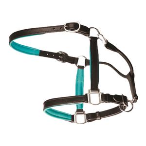 Haute qualité personnalisé Nylon cheval bride en cuir souple Style anglais licou différentes couleurs-Options de gros - Product Image 4