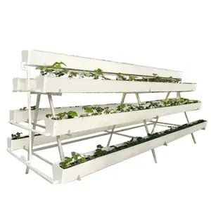 Nursery Greenhouse With Vertical Aeroponics System Piping Type hydroponic grow system NFT Farm hydroponic system