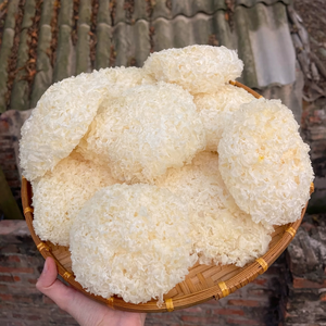 Material de hongo tremella blanco de procesamiento natural para cocinar, distribución culinaria desde Vietnam - Product Image 1