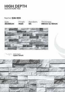 Carreaux muraux extérieurs en porcelaine 300x600mm Finition élévation - Product Image 5