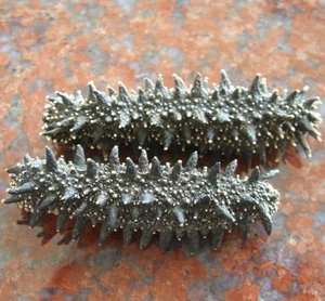 Premium Vietnamese Dried Sea Cucumber for Export - Product Image 1