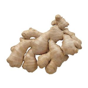 <b>Fresh</b> <b>ginger</b> available for bulk export with consistent size and rich aroma - Product Image 1