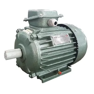 0.37kw-2000kw的三相感应电动机2P/ 4P/ 6P/8P，IEC标准220/380V & 380/660V越南供应商