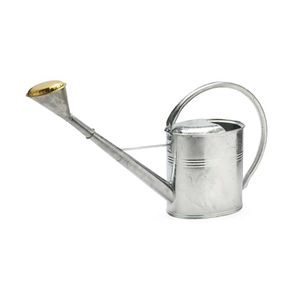 Decorative Galvanized Water Can with Practical Design for Use in Homes Patios and <b>Small</b> Garden Spaces - Product Image 1