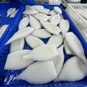 Fresh frozen ilex squid For The Foodie - Alibaba.com
