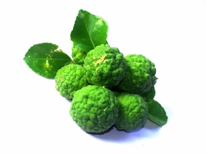 น้ำมันนวดมะนาวบริสุทธิ์น้ำมันมะกรูด - Product Image 4