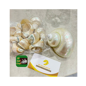 ANNEAU DE SERVIETTE EN COQUILLE DU VIETNAM FABRIQUÉ À LA MATÉRIAUX NATURELS POUR DÉCOR DE TABLE FÊTE DE MARIAGE RESTAURANT HÔTEL DINER ACCESSOIRES - Product Image 1