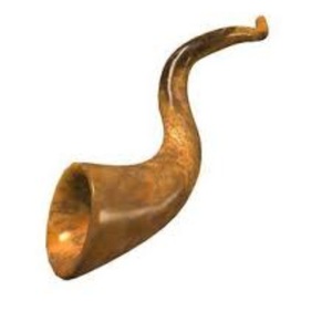 Bocina Natural de cabra para decoración del hogar, bocina de tamaño personalizado, gran oferta - Product Image 3