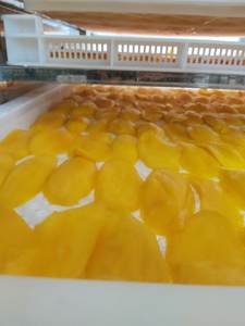 Mango Kaew orgánico de nueva cosecha, Mango Seco de alta calidad con sabor dulce, embalaje a granel, precio súper barato - Product Image 3