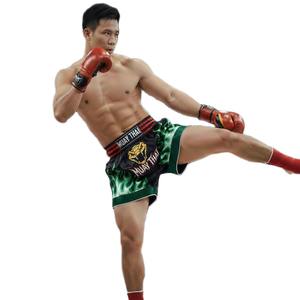 Pantalones Cortos de Boxeo Muay Thai MMA de Satén Verde Azulado de Lujo, Bordados con Cabeza de León Dorada, Logotipo Personalizado, Elásticos, para Entrenamiento - Product Image 6