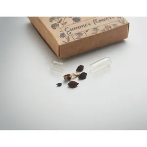 Disques de graines écologiques FLOMIX pour fleurs – Gadgets promotionnels pour fêtes - Product Image 1
