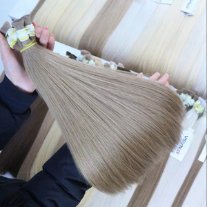 Extensions de cheveux vietnamiens vierges de qualité de luxe soyeux et droits couleur claire Double extrémités étirées en vrac gros en vrac Vietnam - Product Image 1