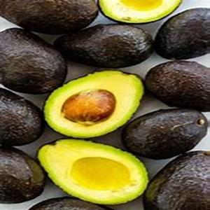 ผู้ส่งออกที่เชื่อถือได้ของอะโวคาโด Hass อินทรีย์ปลูกสดใหม่หลากหลายในราคาปานกลาง - Product Image 1