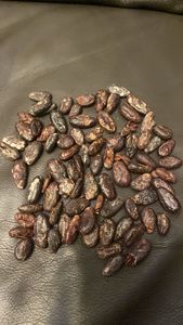 Hạt ca cao rang từ <span class=keywords><strong>cameroon</strong></span> & Ghana forastero loại 1 túi 50kg - Product Image 5