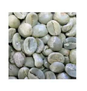 Alta Qualidade de grãos de café verde arábica e robusta melhor qualidade 1 Melhor do Feijão de Café Torrado grãos de café Robusta grau 100%