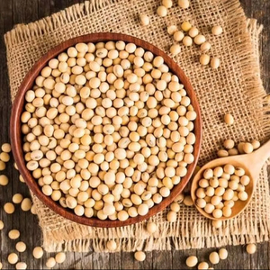 Soja jaune organique de qualité supérieure séché et emballé en vrac pour l'alimentation du bétail et l'extraction d'huile Ingrédients naturels - Product Image 1