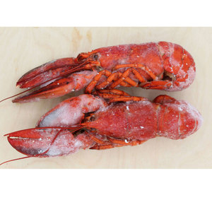 Vente en gros de homard congelé homard canadien frais vivant Maine Boston queue de homard européen emballage en vrac pour exportation - Product Image 6