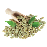 Granos de Café Robusta 100% Orgánico Vietnamita de Moda - Venta al por Mayor en Bolsas con Envío Rápido a Todo el Mundo