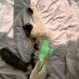 1 gant de toilettage réutilisable en acier inoxydable pour enlever les poils d'animaux, brosse, outil, peigne pour chat, peigne pour chien, pour enlever les poils d'animaux - Product Image 2