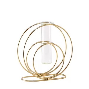 Jarrón de Vidrio Dorado Simple, Jarrón para Plantas Hidropónicas, Tubo de Ensayo de Vidrio Geométrico de Hierro, Soporte de Metal para Plantas, Decoración Moderna para el Hogar - Product Image 3